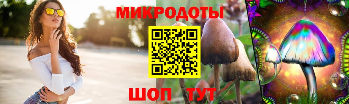 Лабытнанги  Псилоцибиновые грибы ЛСД  Вход с VPN 